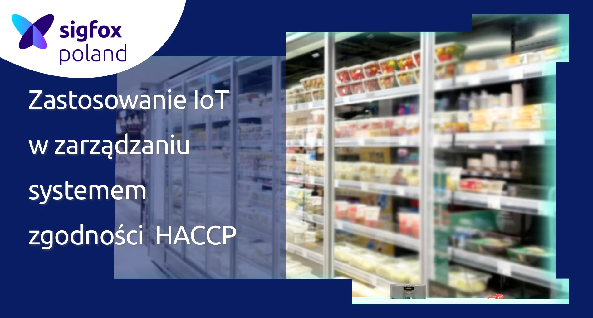 Jak rozwiązania Internetu Rzeczy (IoT) wspierają zgodność z systemem HACCP?